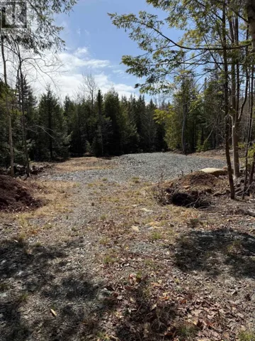 Lot 18 Dauphinee Road, Cookville, Nova Scotia B4V7R7