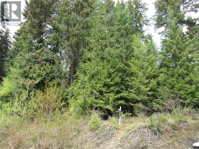 Lot 19 Nelson Rural 08182.190 Lot# 19, Bonnington Falls, British Columbia V0G2G3