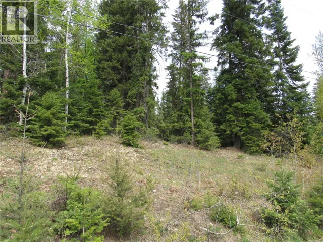 Lot 14 Nelson Rural 08182.140 Lot# 14, Bonnington Falls, British Columbia V0G2G3