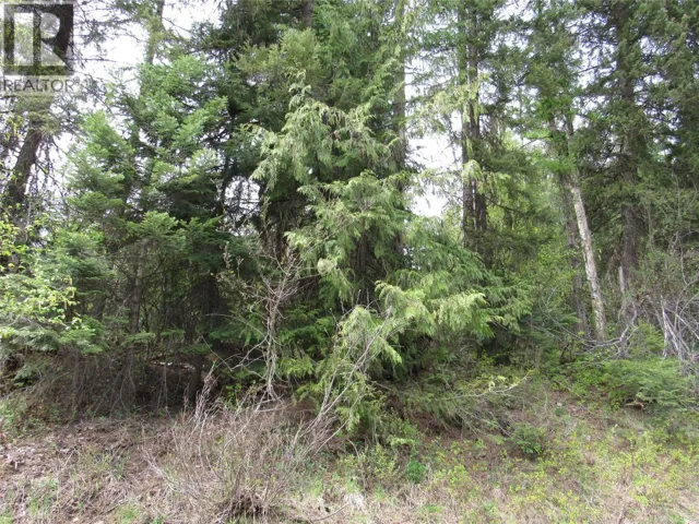 Lot 6 Thompson Road, Bonnington Falls, British Columbia V0G2G3