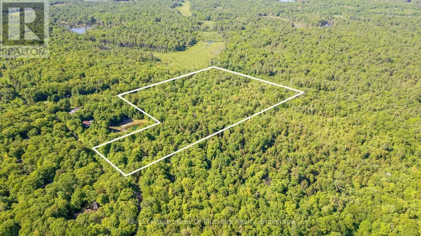 1061 SOUTH MULDREW LAKE ROAD, Gravenhurst (Morrison), Ontario P0E1G0