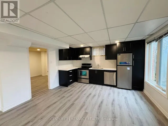 BASEMENT - 33 SOMERSET CRESCENT, Richmond Hill (Observatory), Ontario L4C8N5