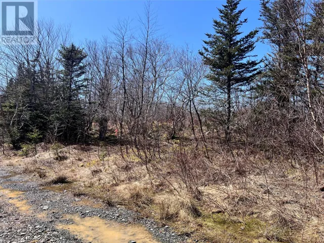 Lot 13 Whiskey Hill, Bay Roberts, Newfoundland & Labrador A0A3V0