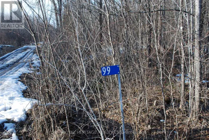 99 FUTURE LANE, Stirling-Rawdon (Rawdon Ward), Ontario K0K2M0