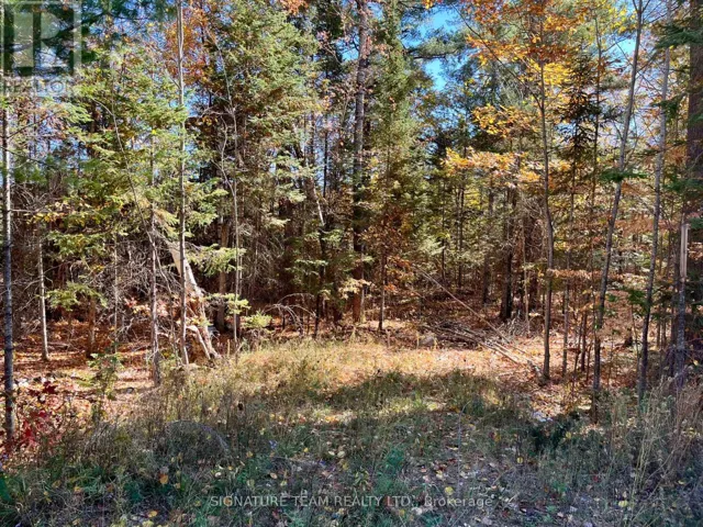 0 FOYMOUNT ROAD, Bonnechere Valley, Ontario K0J1T0