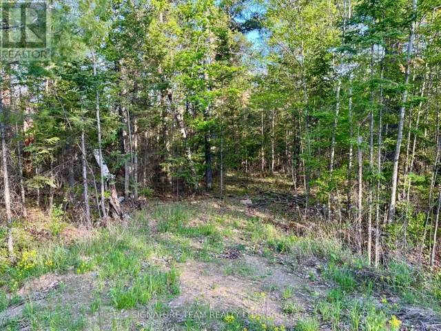 0 FOYMOUNT ROAD, Bonnechere Valley, Ontario K0J1T0