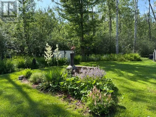 780