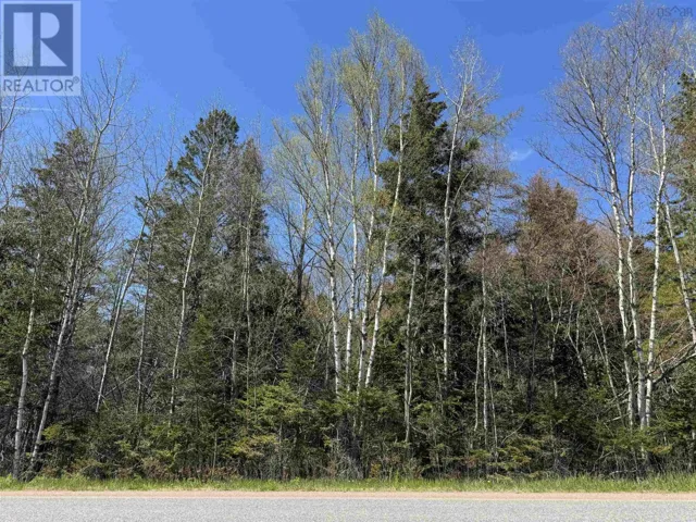 Lot 4 Highway 509 Highway, Lower Maccan, Nova Scotia B0L1B0