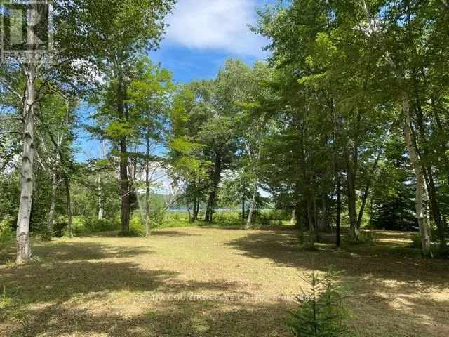 LOT 9 LOWER CRAIGMONT ROAD, Brudenell, Lyndoch and Raglan, Ontario K0J1B0