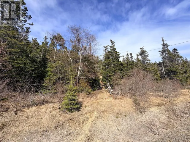 0 Random Island Road, Weybridge, Newfoundland & Labrador A5A3A1