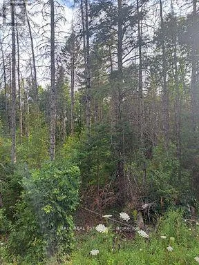 N/A CORDOVA ROAD, Marmora and Lake (Marmora Ward), Ontario K0K2M0