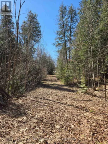40 MARQUARDT ROAD, Addington Highlands (Addington Highlands), Ontario K0H1K0