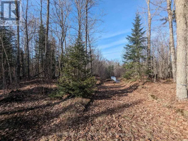 11146 HIGHWAY 118, Algonquin Highlands (Stanhope), Ontario K0M1J1