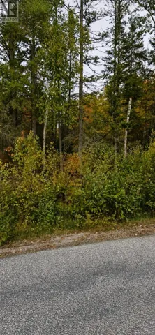 NONE SWEEZEY STREET, Powassan (Trout Creek), Ontario P0H2L0