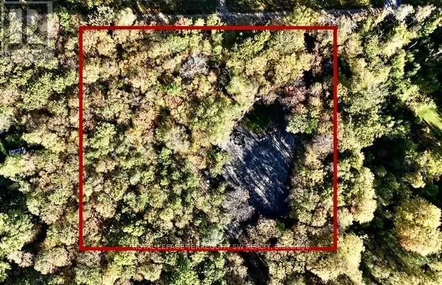 1394 BARTLETT LAKE ROAD, Ryerson, Ontario P0A1Y0