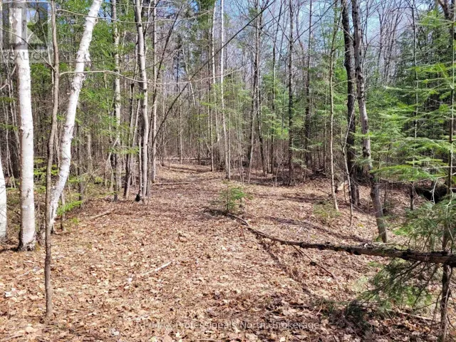 TBD GELERT ROAD, Minden Hills (Snowdon), Ontario K0M2K0