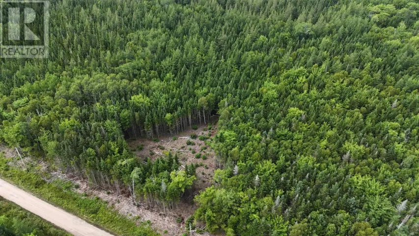 Lot 4 Helmuts Lane, Cleveland, Nova Scotia B0E1J0
