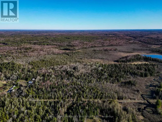 LT 4 DUTCH LINE ROAD W, Trent Lakes, Ontario K0M2A0