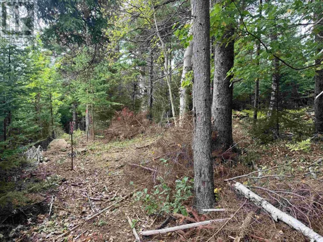 24-2 Forest Drive Extension, Pictou, Nova Scotia B0K1H0