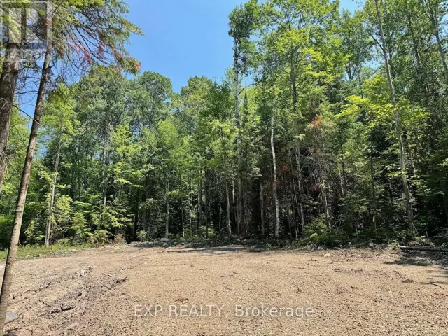 LOT 8 LAKEWOODS DRIVE, Madawaska Valley, Ontario K0J1B0