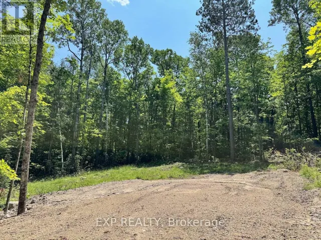 LOT 16 LAKEWOODS DRIVE, Madawaska Valley, Ontario K0J1B0