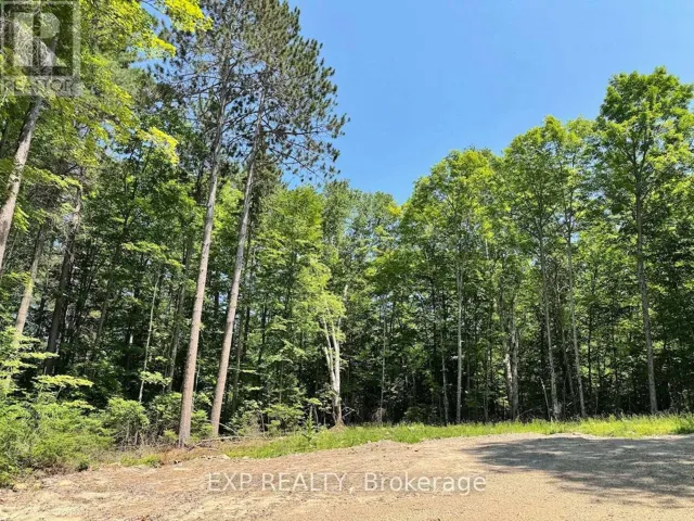 LOT 17 LAKEWOODS DRIVE, Madawaska Valley, Ontario K0J1B0