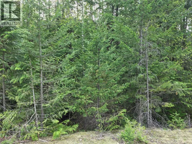 6 Highway, Slocan, British Columbia V0G2C0