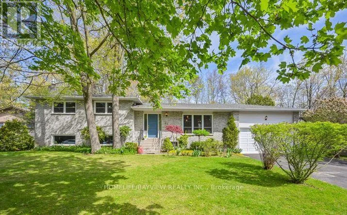 BASEMENT - 45 FRENCH CRESCENT, East Gwillimbury (Holland Landing), Ontario L9N1J8