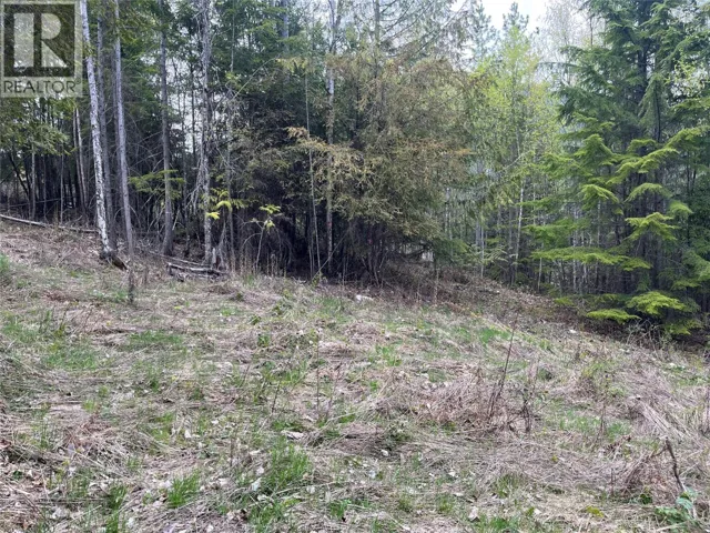 Lot 2 BALFOUR Avenue, Kaslo, British Columbia V0G1M0