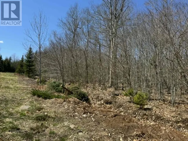 Lot R-10 Kill Dog Cove Road, Parkdale, Nova Scotia B0R1A0