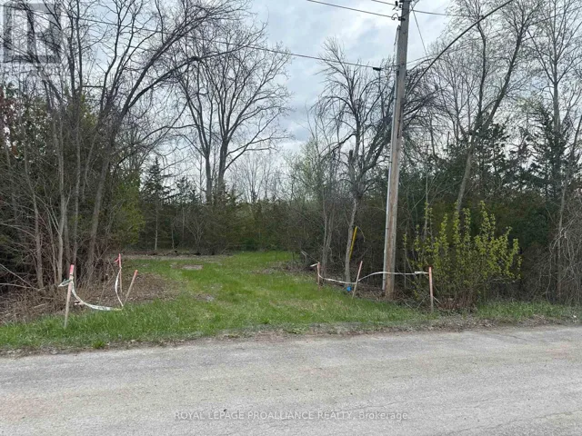 0 PETERSON STREET, Quinte West (Sidney Ward), Ontario K8V5P8