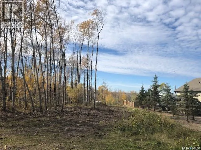 520 Diamond Willow DRIVE, Goodsoil, Saskatchewan S0M1A0