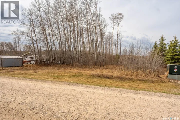 520 Diamond Willow DRIVE, Goodsoil, Saskatchewan S0M1A0