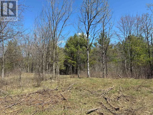 LOT 4 LEVEQUE ROAD, South Frontenac (Frontenac South), Ontario K0H2W0
