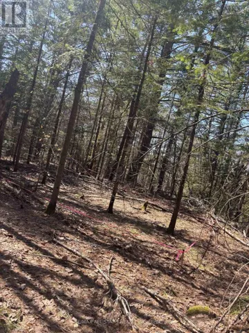 0 KIRKPATRICK LANE, Bracebridge (Draper), Ontario P1L1X3