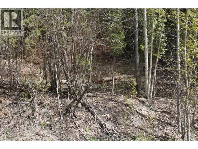 Lot 2 Vickers Trail, Anglemont, British Columbia V0E1M8
