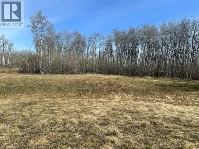 90058b twp 720, Wembley, Alberta T0H3S0