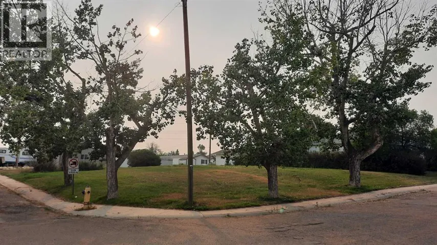 114 Railway Avenue S, Morrin, Alberta T0J2B0