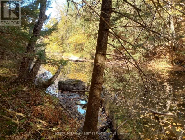 326 SOUTH RIVER ROAD, Nipissing, Ontario P0H1W0