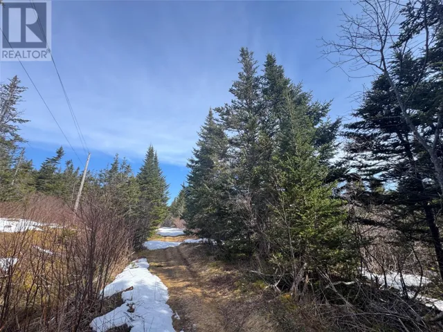 0 Cable Road, Hillview, Newfoundland & Labrador A0E2A0