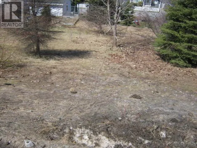 5 Princess Avenue, Corner Brook, Newfoundland & Labrador A2H1N2