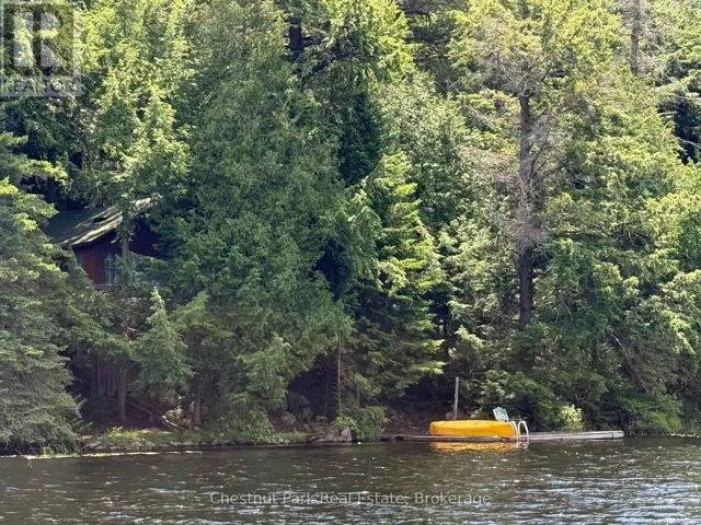 APL1136E - 19 CACHE LAKE, South Algonquin, Ontario P0A1H0