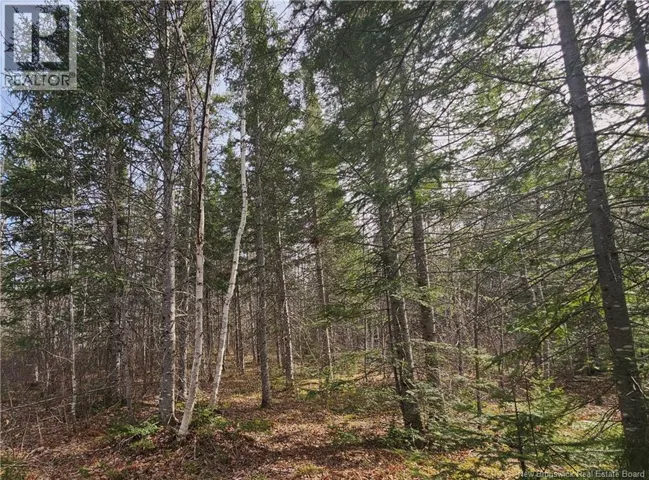 00 Route 118, Chelmsford, New Brunswick E9E2G8