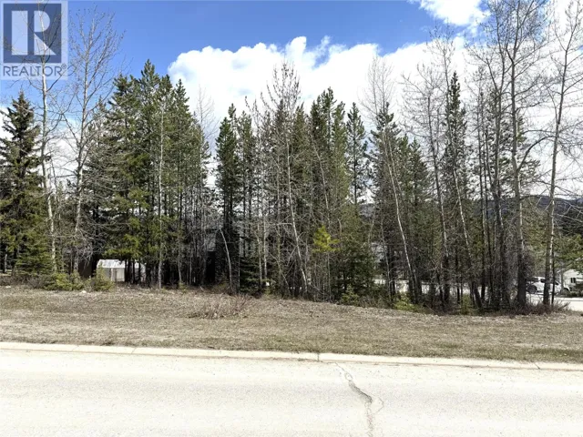 63 DARBY Crescent, Elkford, British Columbia V0B1H0