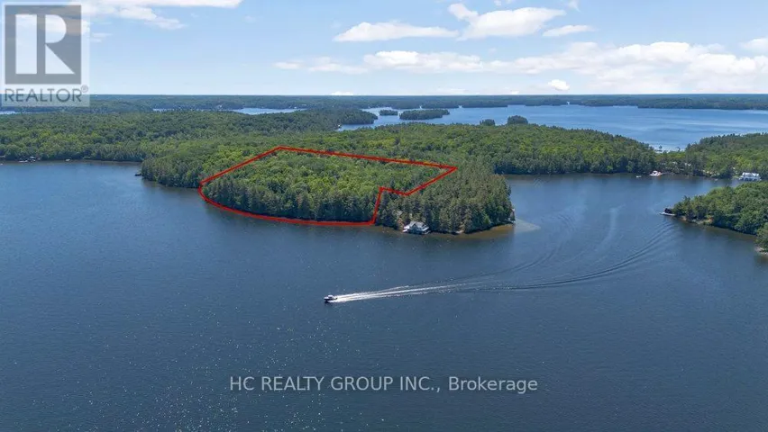 R60- PT5 TOBINS ISLAND, Muskoka Lakes (Medora), Ontario P0B1J0