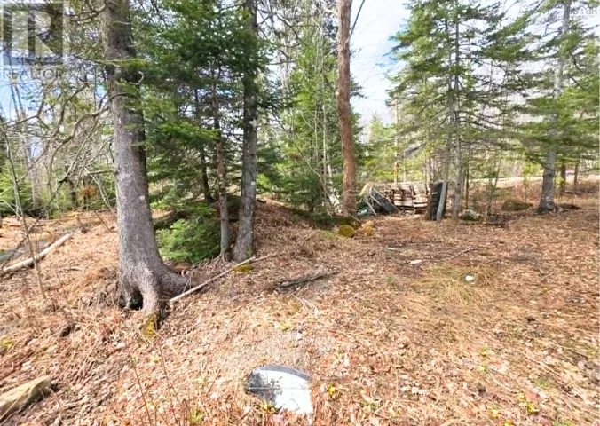 0 Upper Leitches Creek Road, Cape Breton, Nova Scotia B2A1Z2