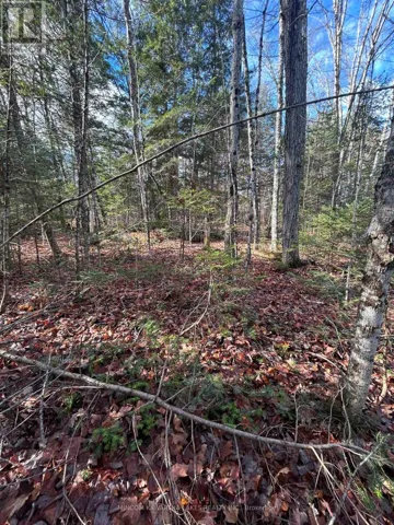 0 MILL LAKE ROAD, North Kawartha, Ontario K0L1A0