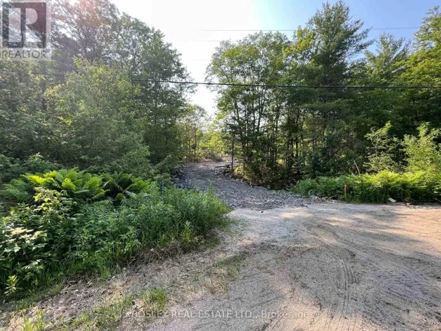 1874 HIGHWAY 11 N, Gravenhurst (Morrison), Ontario P0E1G0