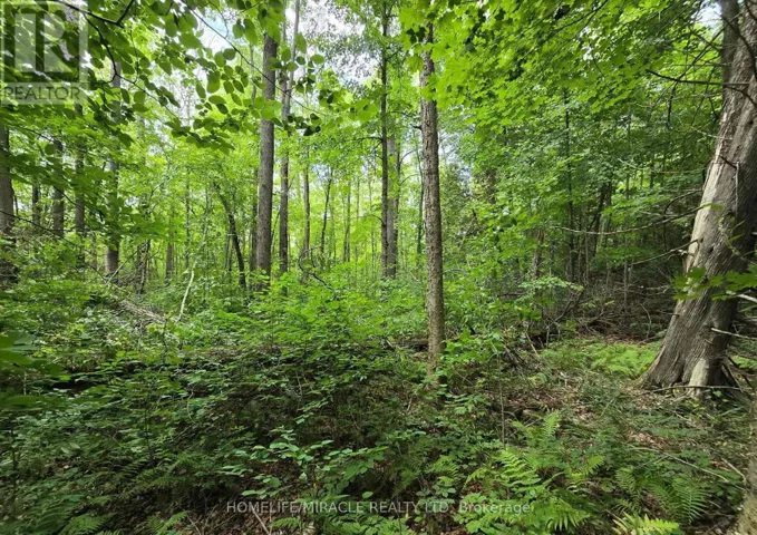 000 CEDAR SANDS ROAD, Rideau Lakes, Ontario K0E1N0
