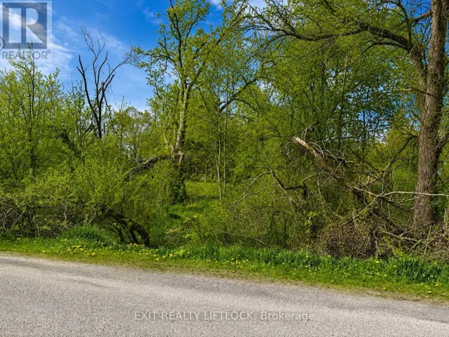 0 MAPLE RIDGE DRIVE, Kawartha Lakes (Emily), Ontario K0L2W0